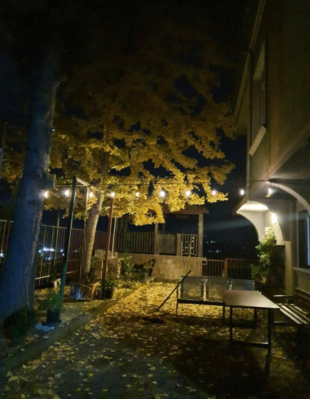Hotel Gt House Batumi Zewnętrze zdjęcie