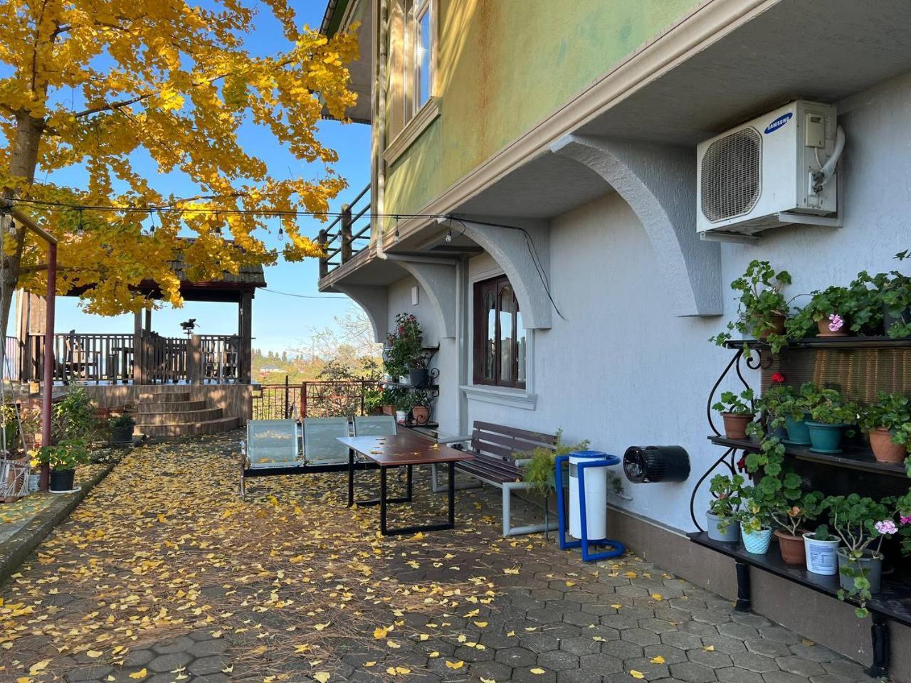 Hotel Gt House Batumi Zewnętrze zdjęcie